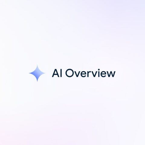 google-ai-overview